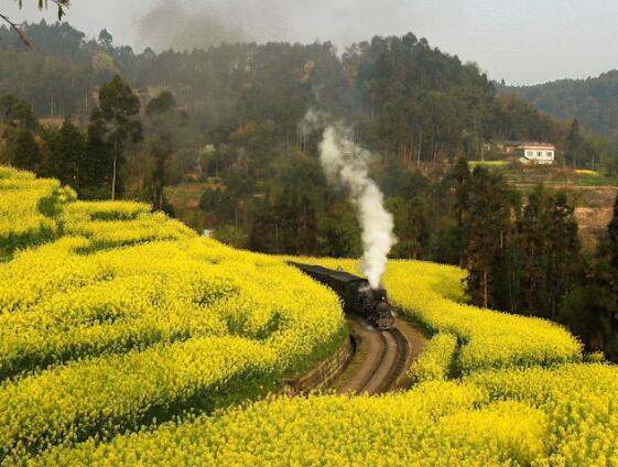 2020年4月初去哪里旅游最好 我国四月风景最美的地方