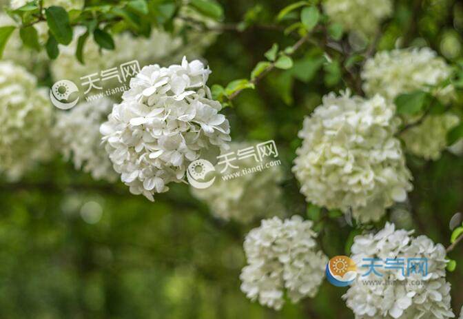 2020景点排名_2020年10月份全国5A景区满意度排行榜!(2)