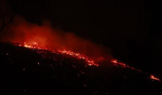 云南腾冲发生一起森林火灾 过火面积约60亩仍在扑救中