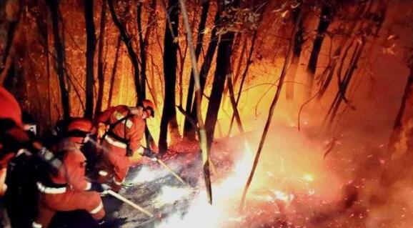 云南省大理州发生森林火灾 目前山火蔓延还未被扑灭