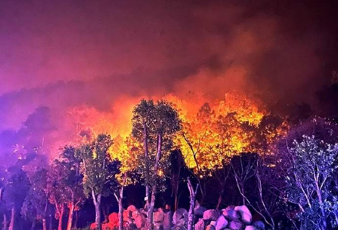 老挝山火二次蔓延至中国云南 过火面积15公顷无人伤亡