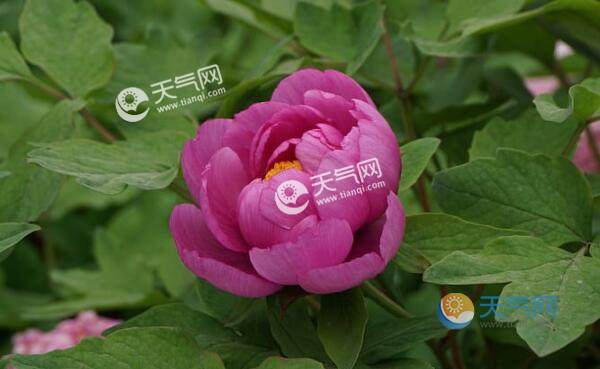 国内4月去哪里旅游最好 四月旅游国内最佳地推荐