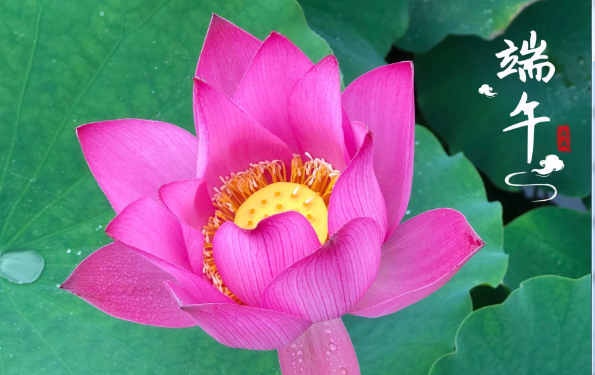 端午节的端是什么意思 端午节也叫作端五节