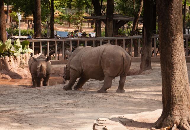 五一假期适合带孩子旅游的地方 2020五一亲子游最佳去处