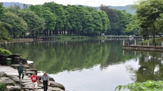 广东多云为主清晨伴有雾 省会广州气温回暖至23℃