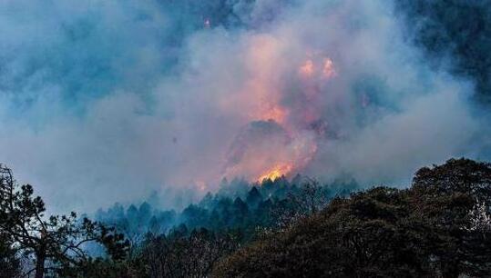 西藏林芝巴宜区发生森林火灾 目前灭火救援工作仍在进行