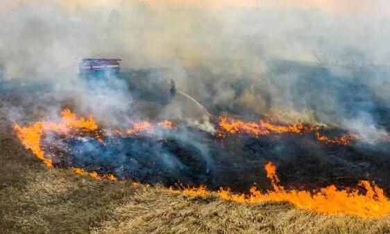 乌克兰山火逼近切尔诺贝利遗址 目前火势已部分得控
