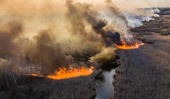 乌克兰森林大火最新消息 降雨让切尔诺贝利明火得到控制
