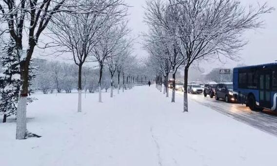 内蒙古发布大风暴雪双预警 多地夜间气温跌至0℃以下