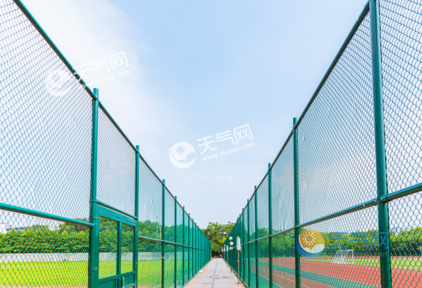 甘肃高校开学时排名_甘肃大学生“造”出各类车高校人才培养多元化