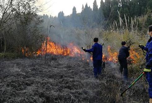 山东蓬莱森林火灾最新消息 目前山火基本扑灭无人员伤亡