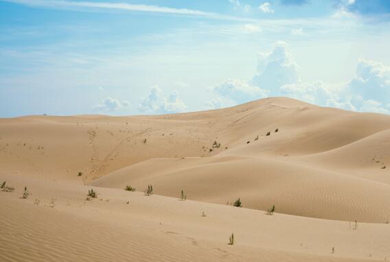 毛乌素沙漠面积有多大 毛乌素沙漠还剩多少面积