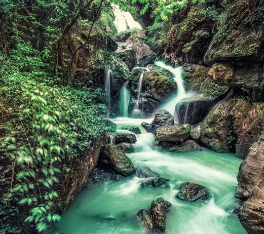 2020五一武隆仙女山旅游攻略 五一重庆武隆仙女山游玩路线