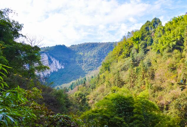 2020五一武隆仙女山旅游攻略 五一重庆武隆仙女山游玩路线