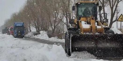 黑龙江全省大暴雪深度达18厘米 齐齐哈尔出动人员4700余人清理积雪