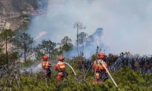 山东发布高森林火险红色预警 枣庄济宁等地火险高度危险