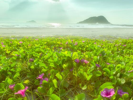 2020广东五一旅游最佳去处 五一广东风景优美少人知的好去处