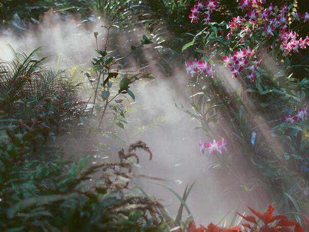 2020五一厦门旅游人多吗 2020厦门五一游玩人少宁静的地方