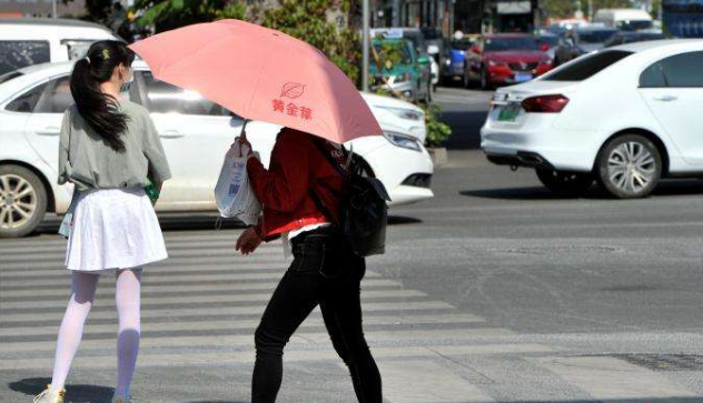 黄淮华北迅速升温10℃！云南中到大雨持续