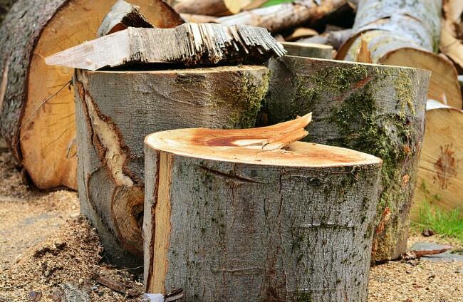 砍树对人类的危害滥砍滥伐树木的后果危害