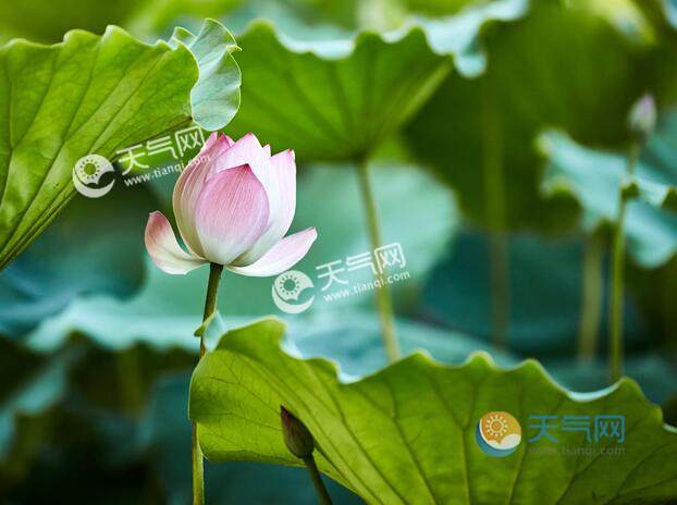 2020五一東莞旅游最佳去處 東莞五一游玩人少好去處