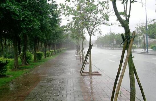 本周前期陕西迎强降雨天气 陕南关中一带有大到暴雨