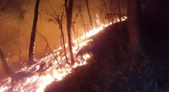 韩国江原道高城突发山林大火 周边400户居民紧急撤离