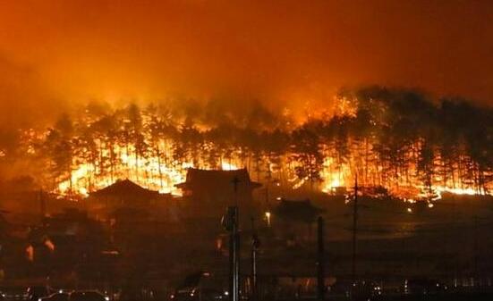 韩国江原道高城突发山林大火 周边400户居民紧急撤离