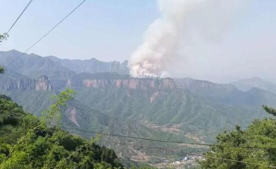 河南新乡一村发生森林火灾 火势已控制无人员伤亡
