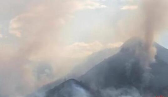 四川攀枝花景区发生森林火灾 目前火势已控制无人员伤亡