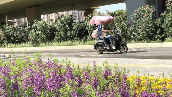 南宁发布高温预警气温高达37℃ 未来三天热力十足需防晒