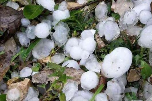 贵州18个区县遭遇冰雹袭击 松桃印江等县降雨量近100毫米