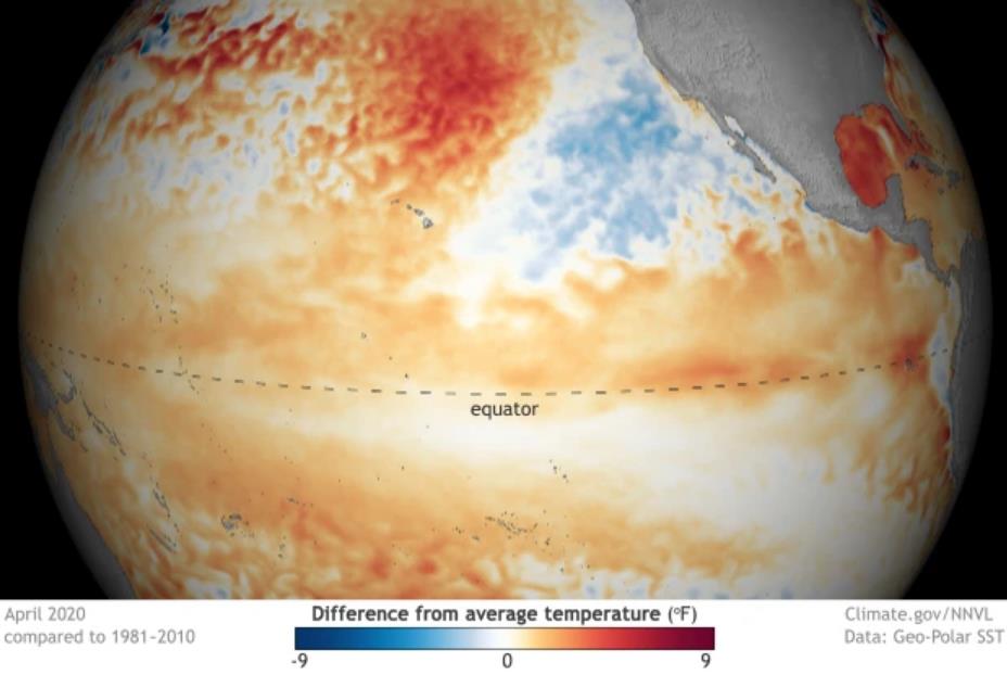 太平洋海温异动是怎么回事？弱厄尔尼诺事件出现
