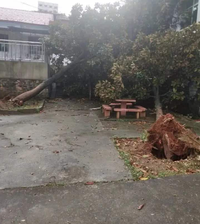 湖南今明天大部雨水不多 13日起新降雨侵袭湖南