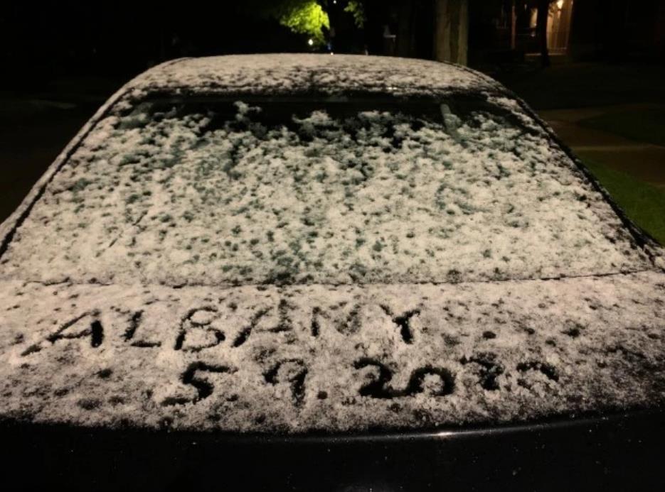 美国纽约5月遭遇暴风雪！史上最晚难以置信