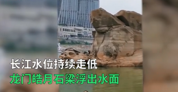 重庆千年神龟奇石露出江面 江水上涨就会被再次淹没