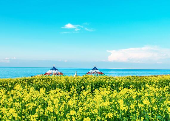 2020暑期去哪里旅游便宜又好玩 暑假穷游六大暑假景点