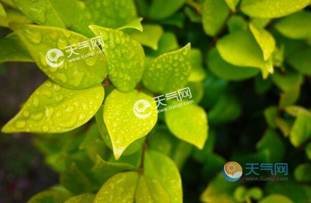 年合肥梅雨季节是哪天合肥梅雨季节是什么时间 天气网