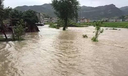 湖南张家界永定区普降暴雨 不少农田被淹农田被淹