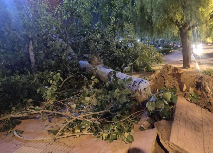 华南南部和辽宁现暴雨强对流 降雨主要集中在南方