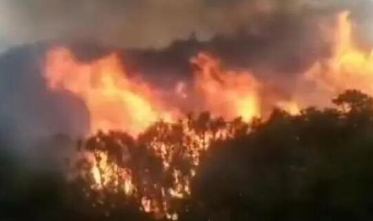 四川屏山县发生森林火灾 过火面积60亩扑救工作正在进行