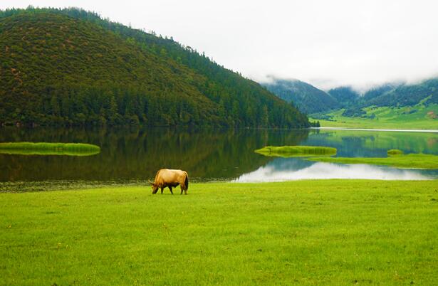 2020端午节旅游哪里好玩凉快 端午节环境优美的避暑之地