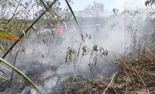 四川自贡一村民倒碳渣引发山火 明火已扑灭无人员伤亡