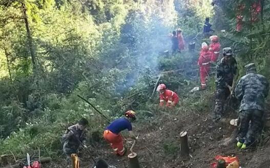 四川屏山森林火灾最新消息 目前明火已扑灭无人员伤亡