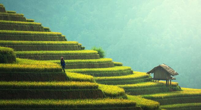 今日小满要做什么 小满特色的民俗活动盘点