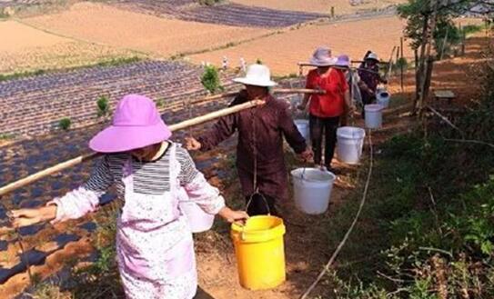 今年云南干旱全省353.6 万人受灾 直接经济损失18.8亿元