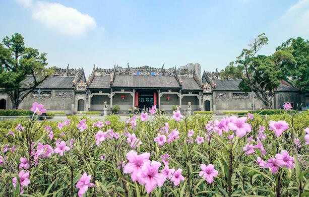 花城是哪个城市 花城是指我国哪个城市