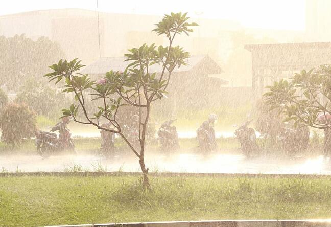 暴雨蓝色预警停课吗 暴雨预警信号几级停课