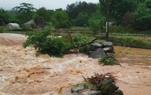 桂林启动洪涝灾害IV级应急响应 部分中小河流将出现超警洪水