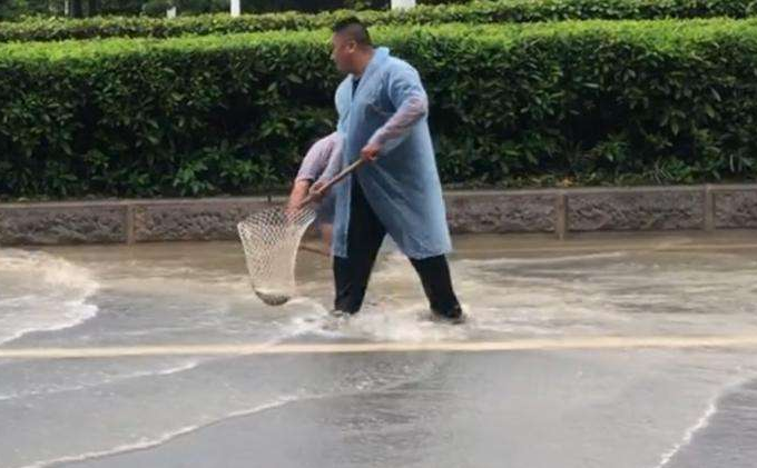 广州雨后路人当街捕鱼 暴雨红色预警黄浦区停课